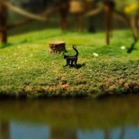 tilt_photo83 tilt_photo83