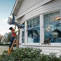 SHARK-WATER-DROPS_WEB-800