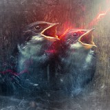 ShockBlast-image_t6-685129 ShockBlast-image_t6-685129