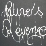 natures-revenge-series-by-ludo-street-art