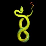 ShockBlast-serpentine_7-893154 ShockBlast-serpentine_7-893154