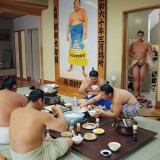 Sumo