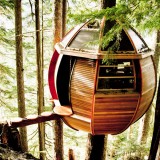 ShockBlast-Hemloft-House-Tree ShockBlast-Hemloft-House-Tree