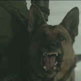 ShockBlast-Romain-Gavras-3