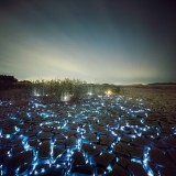 Starry Night: Light Installations by Lee Eunyeol - ShockBlast