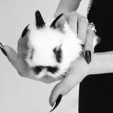 ShockBlast-Cara_Delevingne-Kittents-Nick_Knight-15