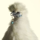 ShokcBlast-luxury-chicks-peter-lippmann