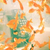 ShockBlast-Fish-Tank-Phone10-584136