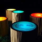 tree-rings-3-sm