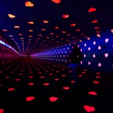 ShockBlast-Tunnel-of-Love