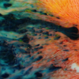 ShockBlast-Colorfull-shit