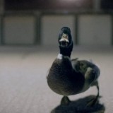ShockBlast-Bingo-Player-Far-East-Movement-Get-up-rattle