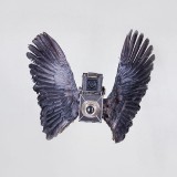 ShockBlast-Birds-of-Aperture-6
