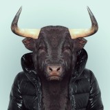 ShockBlast-Zoo-Portraits