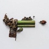 ShockBlast-Weapons-made-of-Plants
