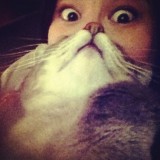 ShockBlast-cat-beards