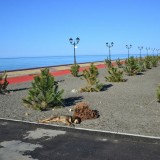Sochi-Five-Months-Later-ShockBlast