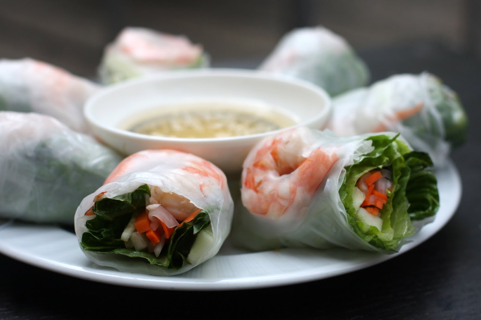 VIETNAMESE SPRING ROLLS — food - ShockBlast